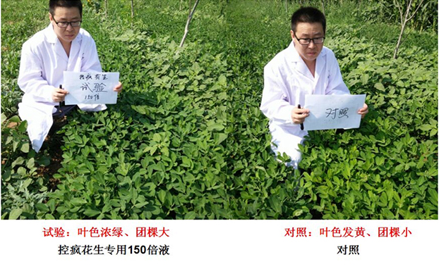 Test Report on Peanut Specialized Products for "Crazy Control"(圖2) Test Report on Peanut Specialized Products for "Crazy Control"(圖2)