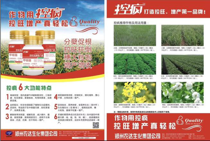 Talking about the Performance of Crazy Control in Cotton and the Key Points of Cotton Chemical Control Technology(圖5) Talking about the Performance of Crazy Control in Cotton and the Key Points of Cotton Chemical Control Technology(圖5)