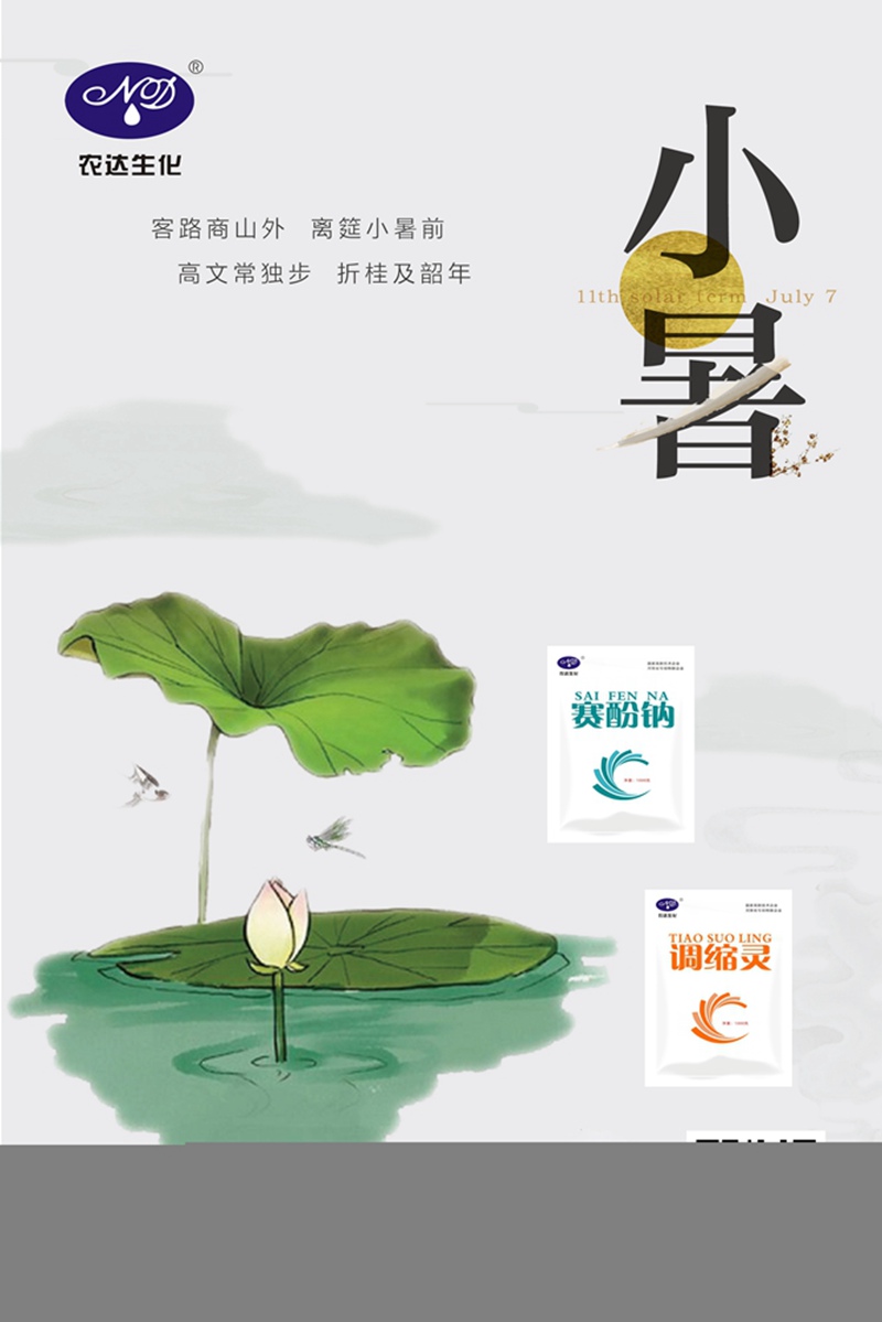 溫風至,小暑來。(圖1) 溫風至,小暑來。(圖1)