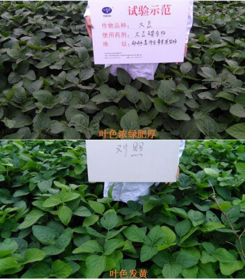 換個(gè)思路賣農(nóng)資，效果也不差！(圖1)